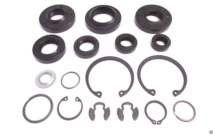 zepp○ Amazon.com: Polaris RZR Rim Cap, Flash Black, Genuine OEM